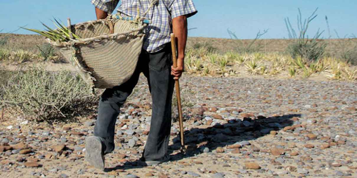 Se agudiza la sequía en la Mixteca poblana