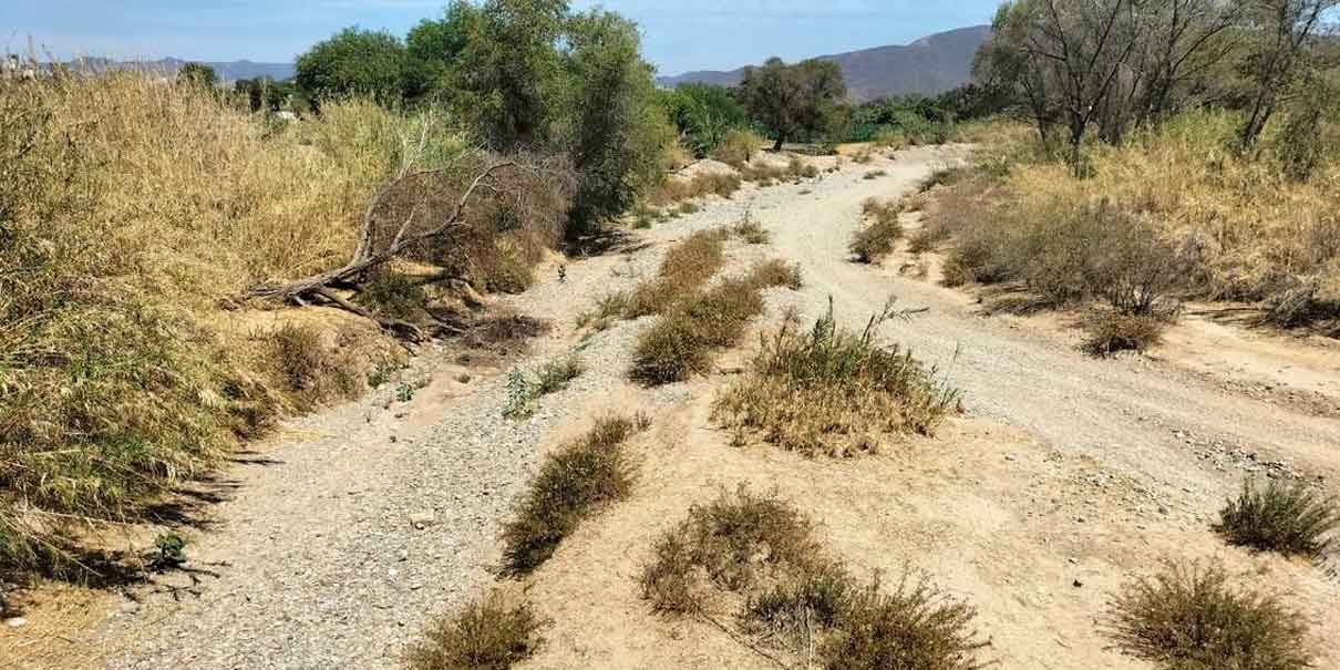 Se agudiza la sequía en la Mixteca poblana
