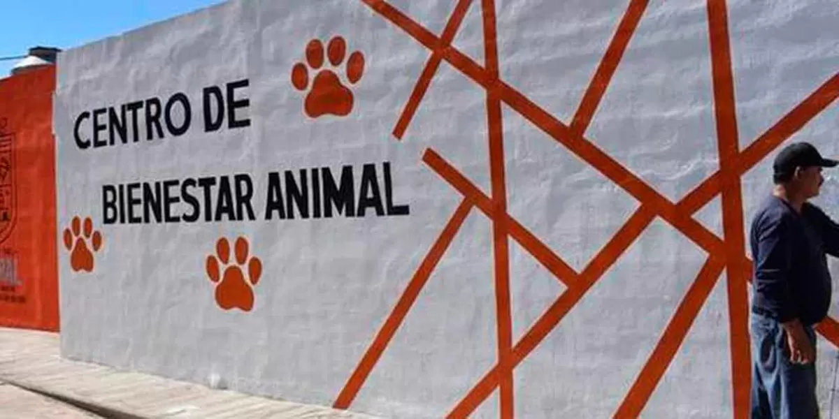 En Amalucan, Ayuntamiento de Puebla creará Centro de Bienestar Animal 