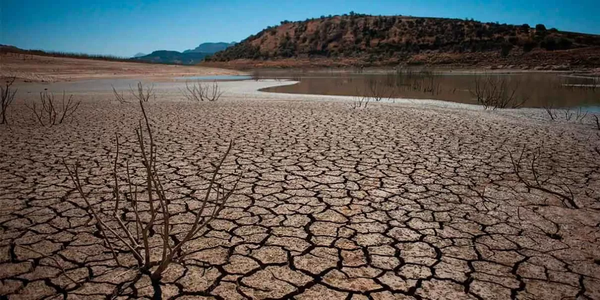 Ante niveles extremos de sequía, se podría declarar zona de desastre en Sinaloa