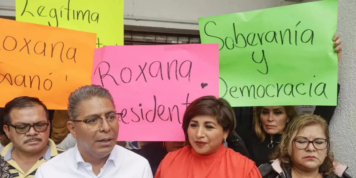 Roxana Luna solicitó el retiro de los consejeros electorales