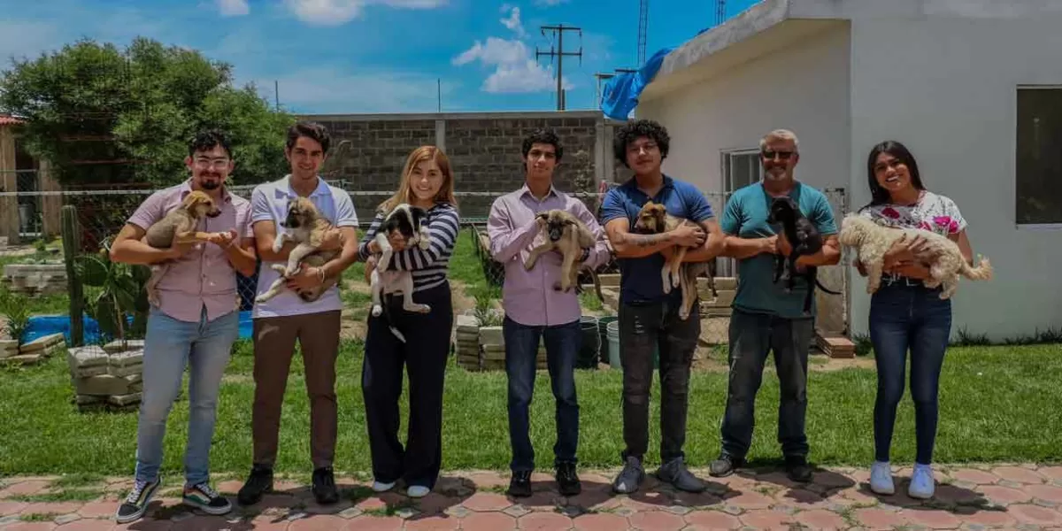 Armenta: Apoyo comunitario y protección animal será una realidad en Puebla