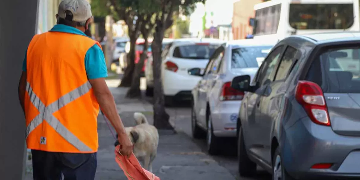 Franeleros burlan la seguridad y siguen con los cobros en las calles