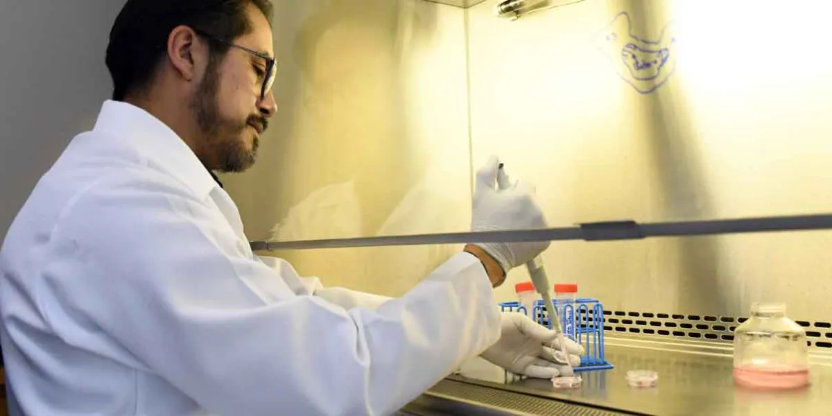 En el Instituto de Fisiología reside uno de los pocos grupos del país que estudia la relación estructura-función en las células cardiacas