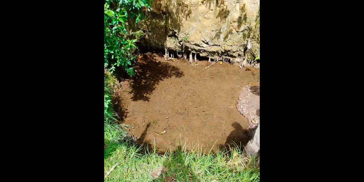 Ritual de pedimento de lluvias en Topozontla: rescate ambiental y tradiciones ancestrales