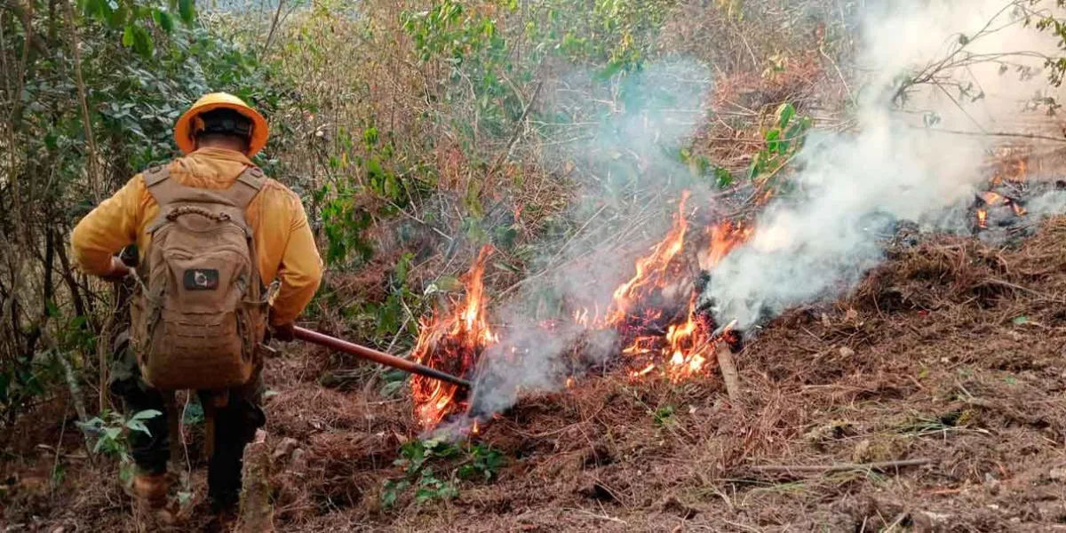 Puebla marcha en sexto lugar nacional en incendios forestales, con 242