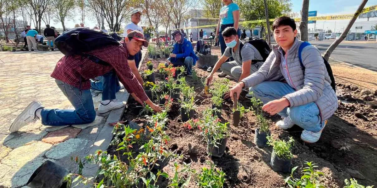 La BUAP representará a México en el Premio UNESCO-Japón de Educación para el Desarrollo Sostenible