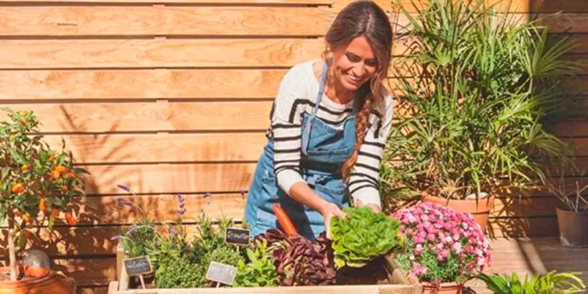 El impacto positivo de las flores: bienestar y sostenibilidad agrícola