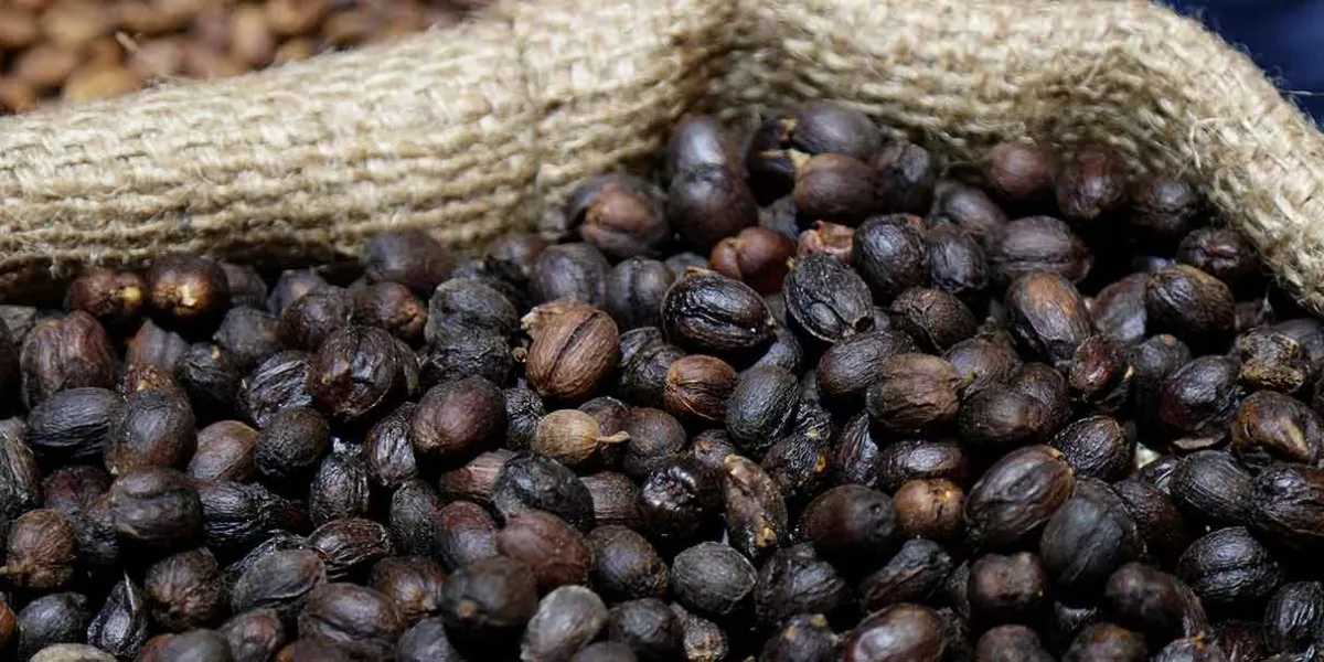 Puebla busca consolidarse como potencia cafetalera con la marca “Cinco de Mayo”