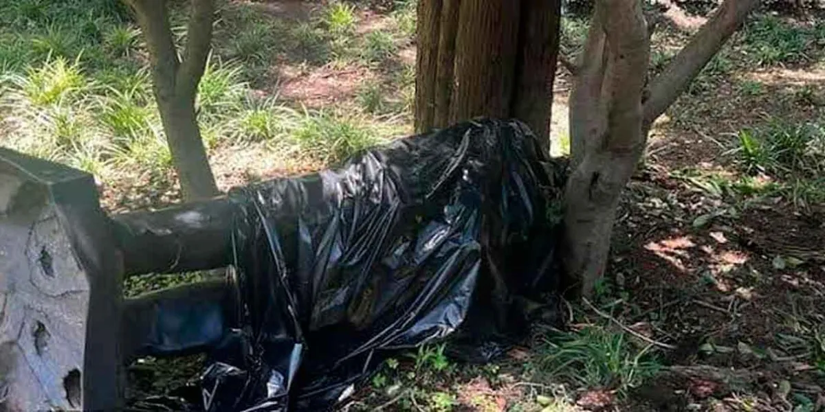 Estatua de Felipe Calderón cae en Los Pinos por lluvias y sigue cubierta con bolsa negra