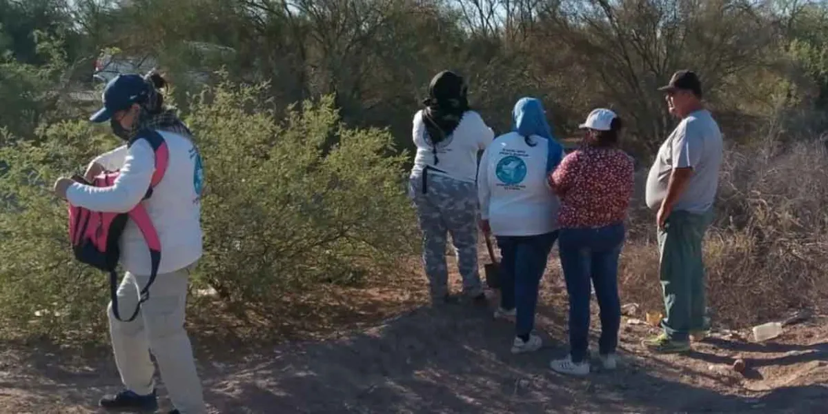 Horror en Sonora: madre y sus tres hijas son asesinadas y halladas abrazadas bajo un árbol