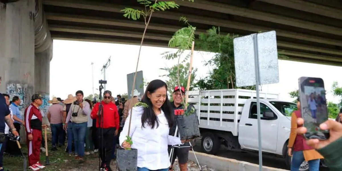 Ariadna Ayala y vecinos reforestaron la zona del puente Cantarranas