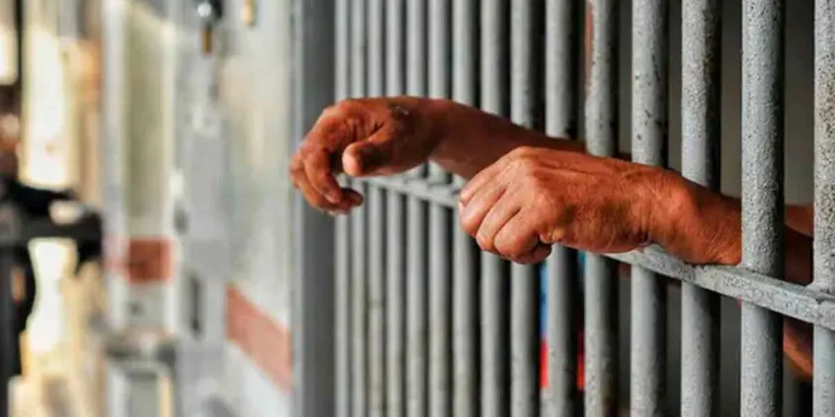 Fedrha Suriano propone reducir penas por ciberasedio y proteger libertad de expresión