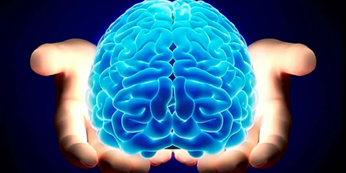 Cuidar el cerebro desde joven: la clave para un envejecimiento saludable