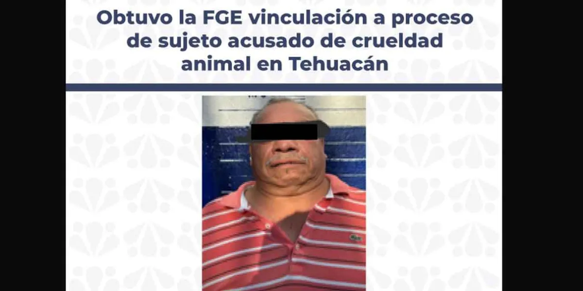 Vinculan a proceso a hombre por muerte de “Capitán”, un canino víctima de crueldad en Tehuacán
