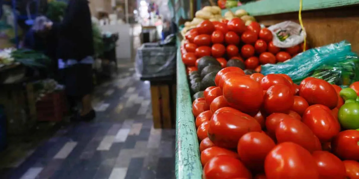 Puebla busca nuevos mercados para exportar tomate ante cuotas antidumping impuestas por EU