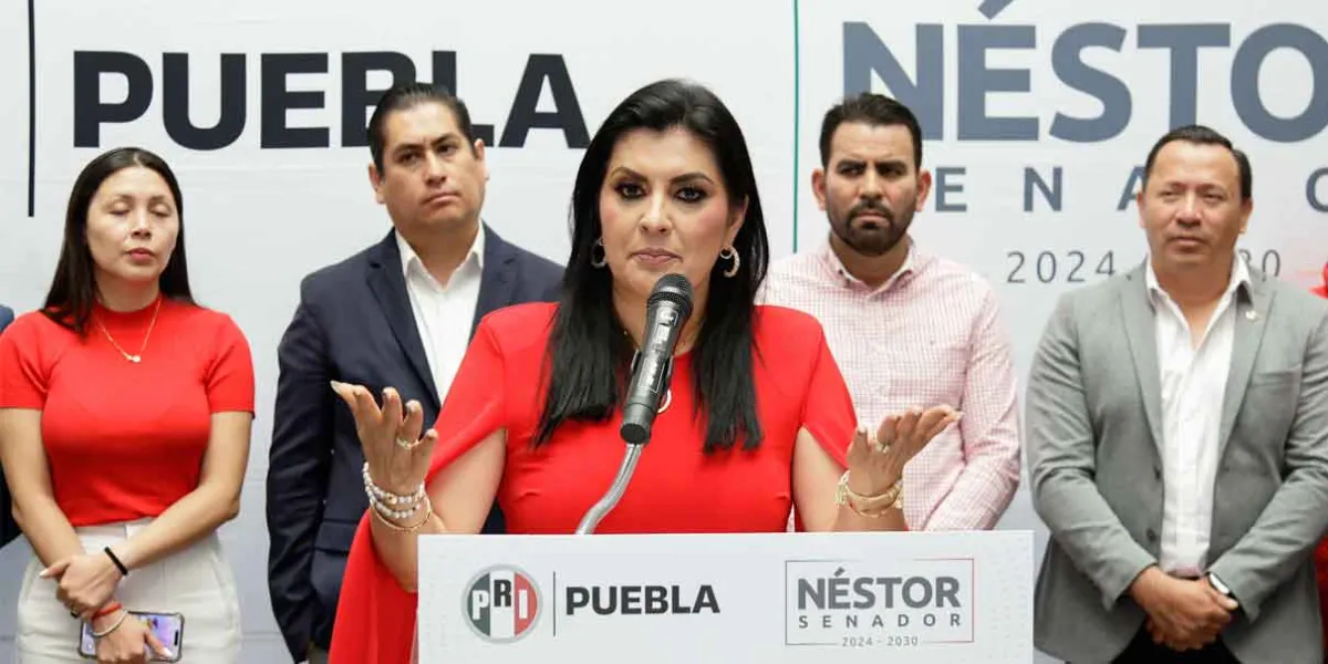 La práctica del nepotismo en Morena, hija de ombudsman será diputada: PRI