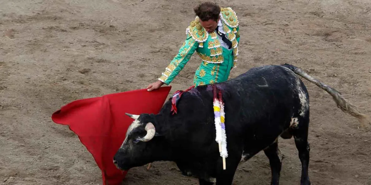 En septiembre retomarán ecologistas prohibición de peleas de gallos y corridas de toros 