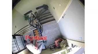 En Huejotzingo, sujeto golpea brutalmente y lanza a lomito desde el tercer piso de un edificio