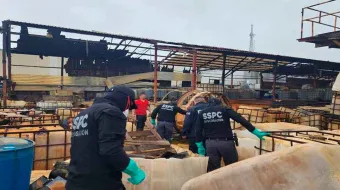 Pentágono en alerta: cárteles mexicanos siembran redes criminales en África