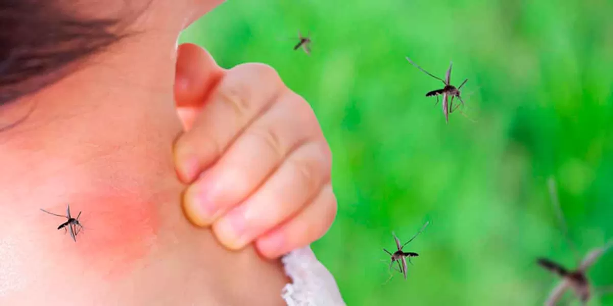 Puebla inició la semana con mil 396 pacientes con Dengue