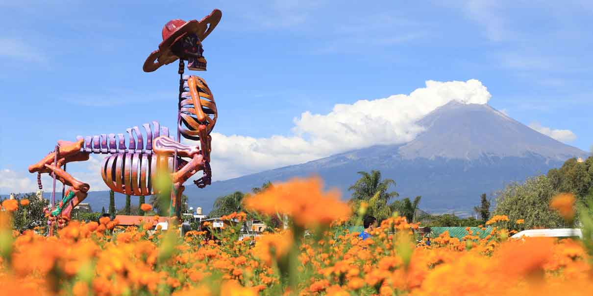 Valle de Catrinas, éxito turístico y desafíos de seguridad en Atlixco