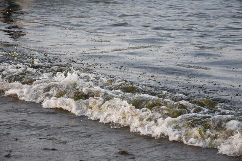 “Dé la cara”: pescadores exigen a Rocío Nahle acudir a la zona