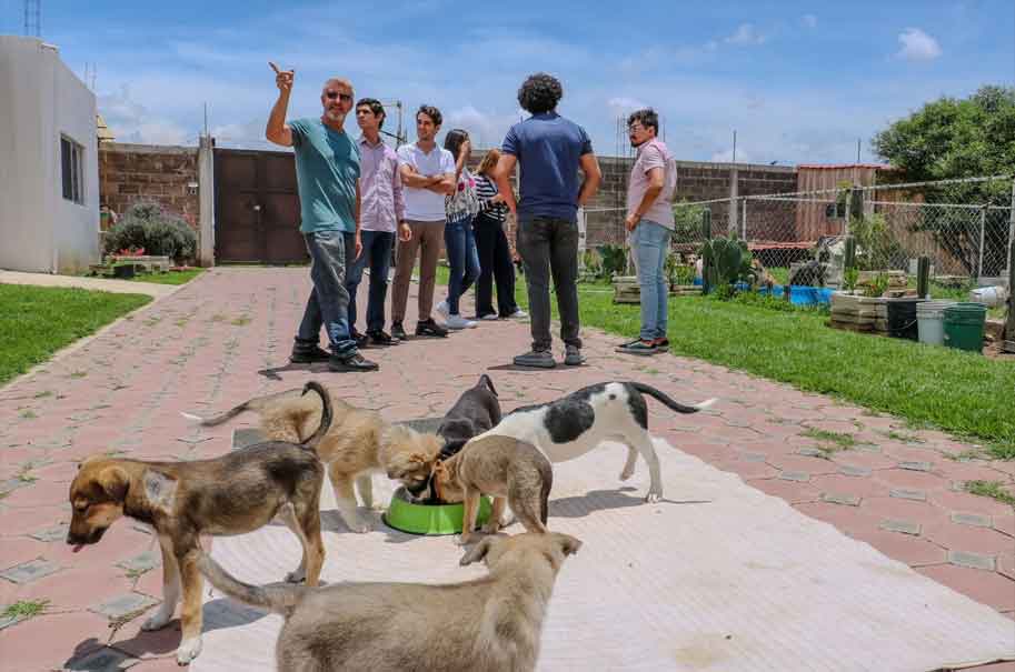 Armenta: Apoyo comunitario y protección animal será una realidad en Puebla