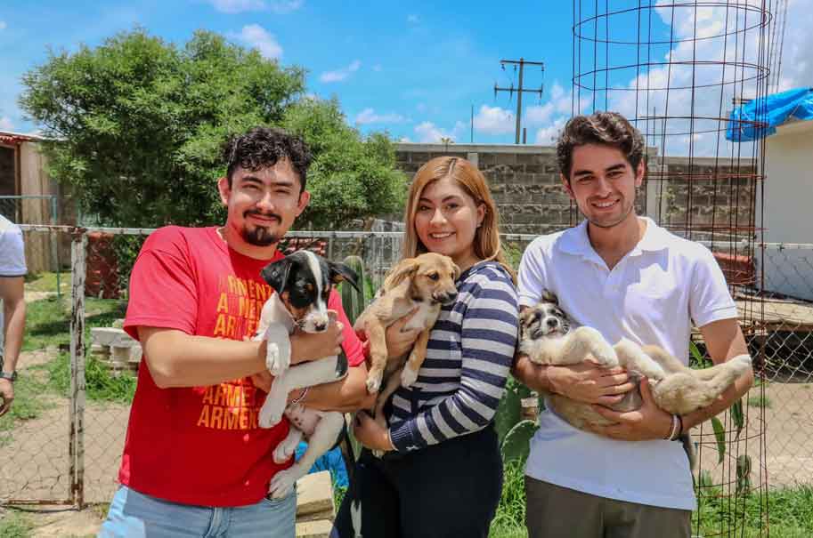 Armenta: Apoyo comunitario y protección animal será una realidad en Puebla