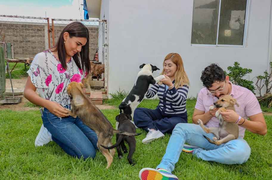 Armenta: Apoyo comunitario y protección animal será una realidad en Puebla