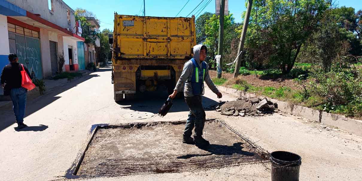 Bache