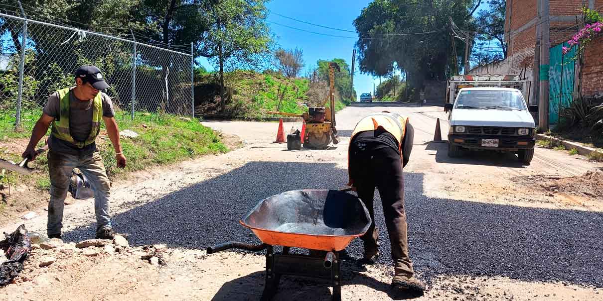 Bacheo