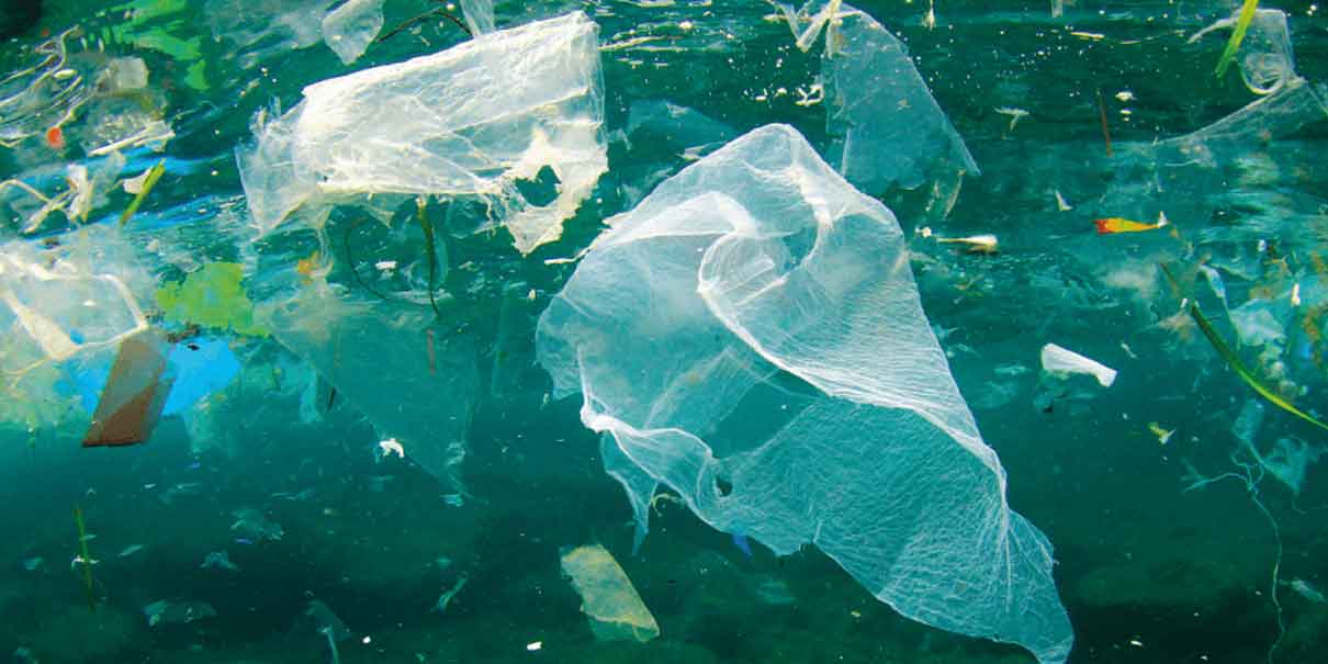 Grave problema ambiental las bolsas de plástico, Puebla es décimo en producción