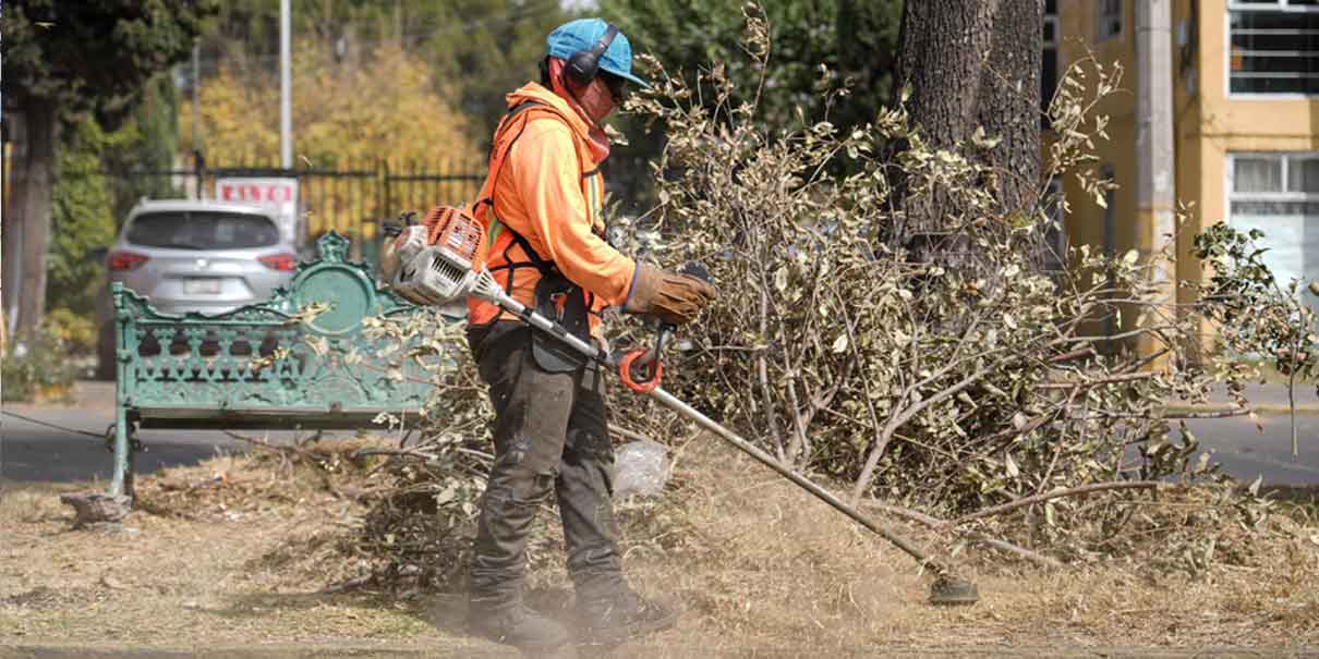 Supervisa José Chedraui mantenimiento de áreas verdes de la colonia Las Hadas