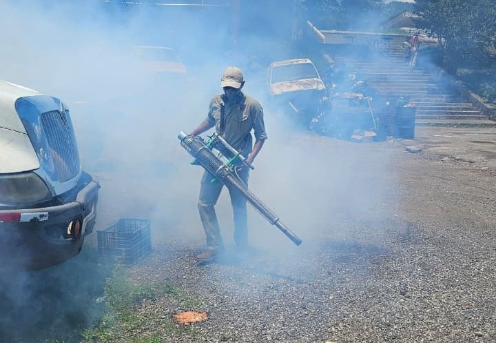 DENGUE