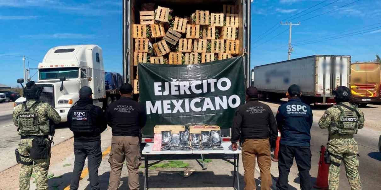 México incauta 275 mil pastillas de fentanilo ocultas en cargamento de nopales en Sonora