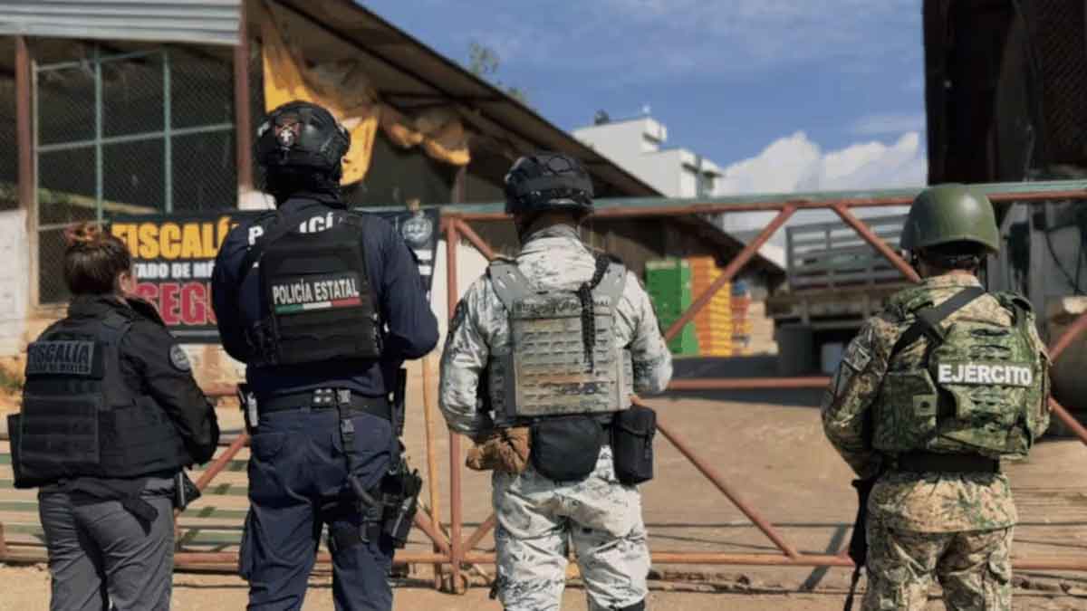 Regidora detenida y red criminal desmantelada en megaoperativo en Edomex