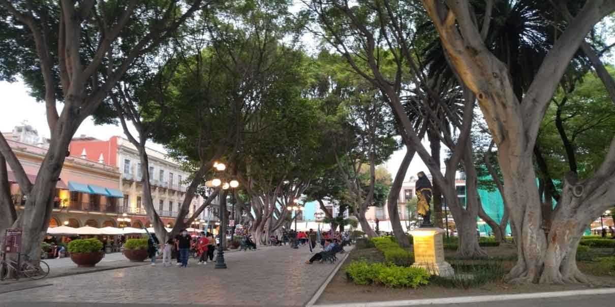 Por ley, el Congreso dará mayor atención a la zona arbolada en Puebla