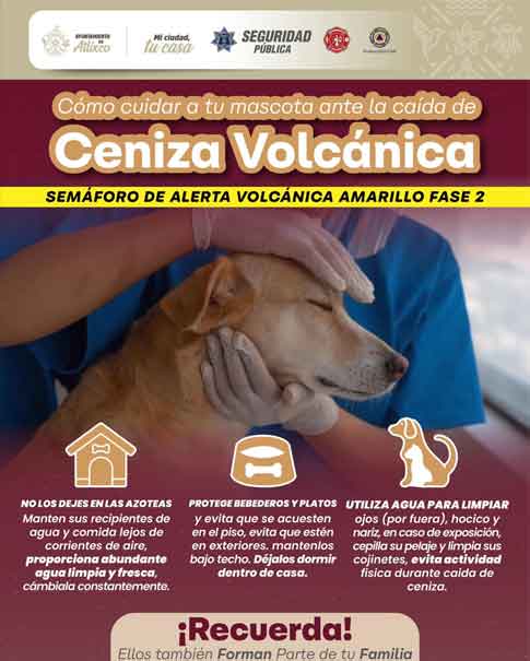 Emiten recomendaciones en Atlixco ante caída de ceniza volcánica