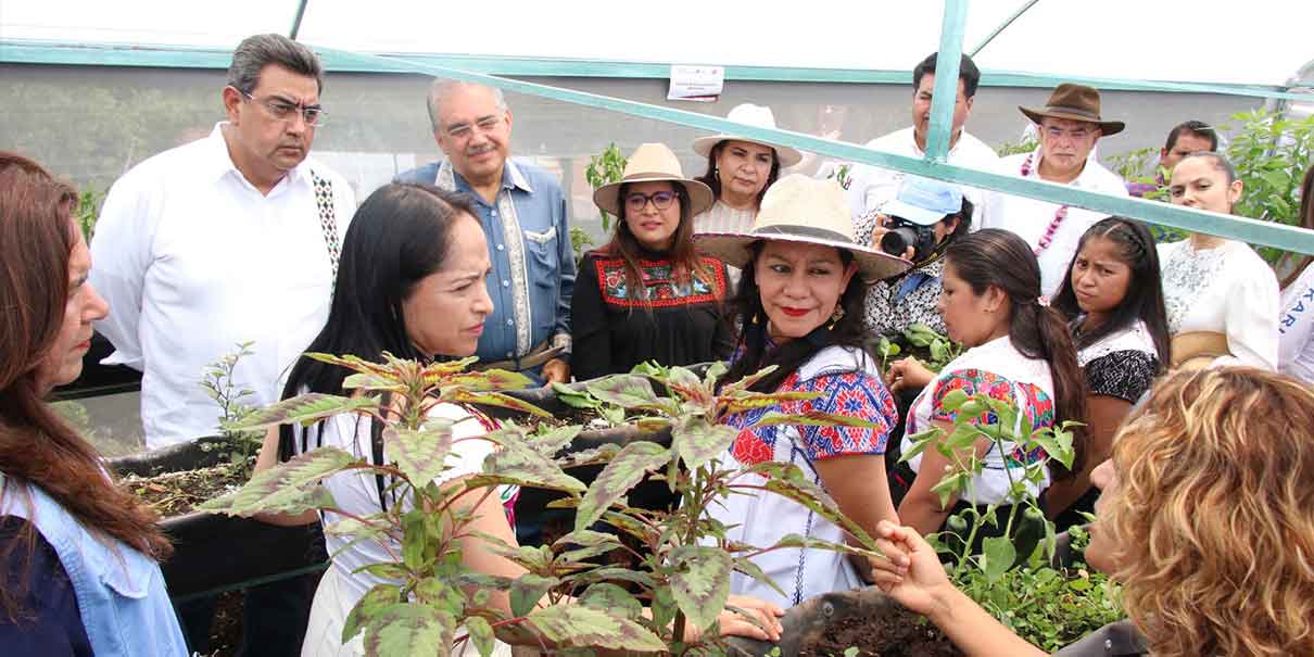 En marcha programa de soberanía alimentaria en Huauchinango