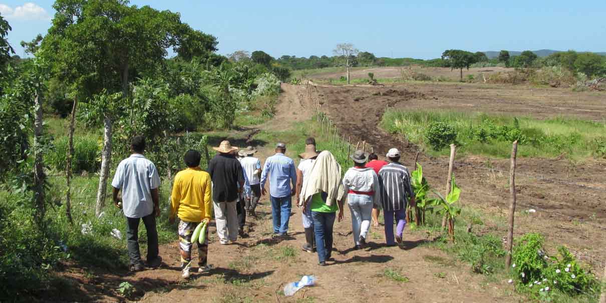 El Congreso impulsará penas más severas contra despojo de tierras