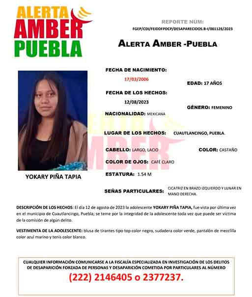Estas son las características de Yokary Piña para localizarla, desaparecida en Puebla