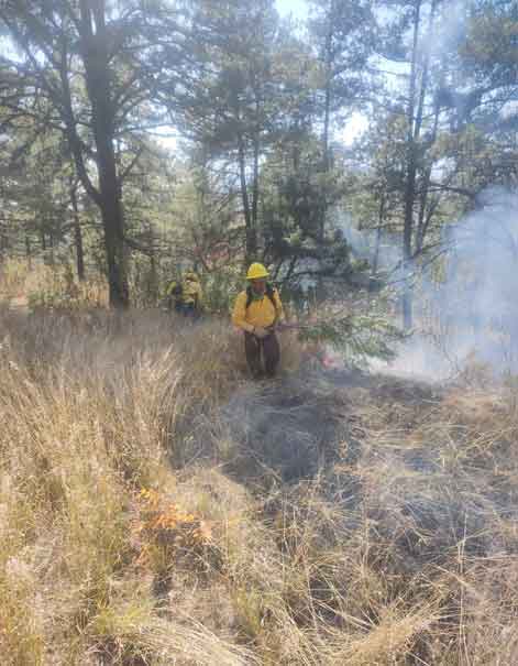 Gobierno y Fiscalía General actuarán con todo rigor contra quienes provoquen incendios