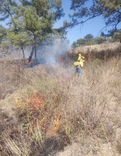 Gobierno y Fiscalía General actuarán con todo rigor contra quienes provoquen incendios