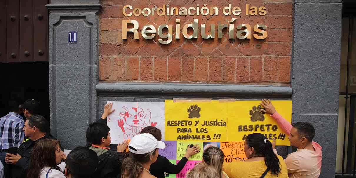 Grupo de activistas exigieron justicia para Chori, perrito arrollado