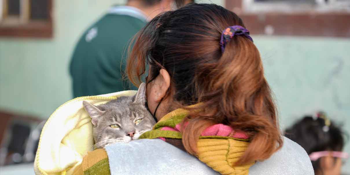 Impulsa Gobierno de la Ciudad jornada de bienestar animal en la colonia Revolución Mexicana