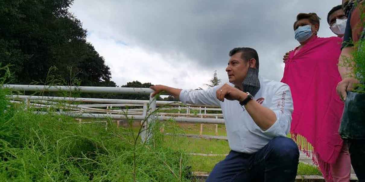 La transformación del campo poblano está alineada al Programa Nacional de Soberanía Alimentaria Armenta2.jpg