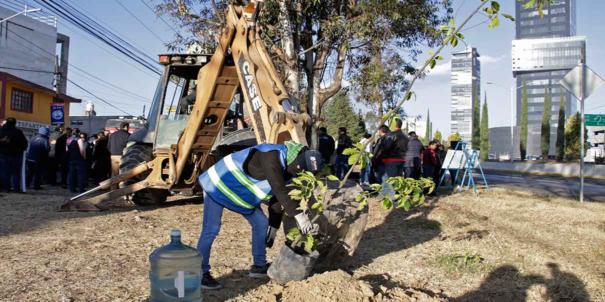 Mantenimiento, ordenamiento y reforestación en la Recta a Cholula que pertenece a Puebla