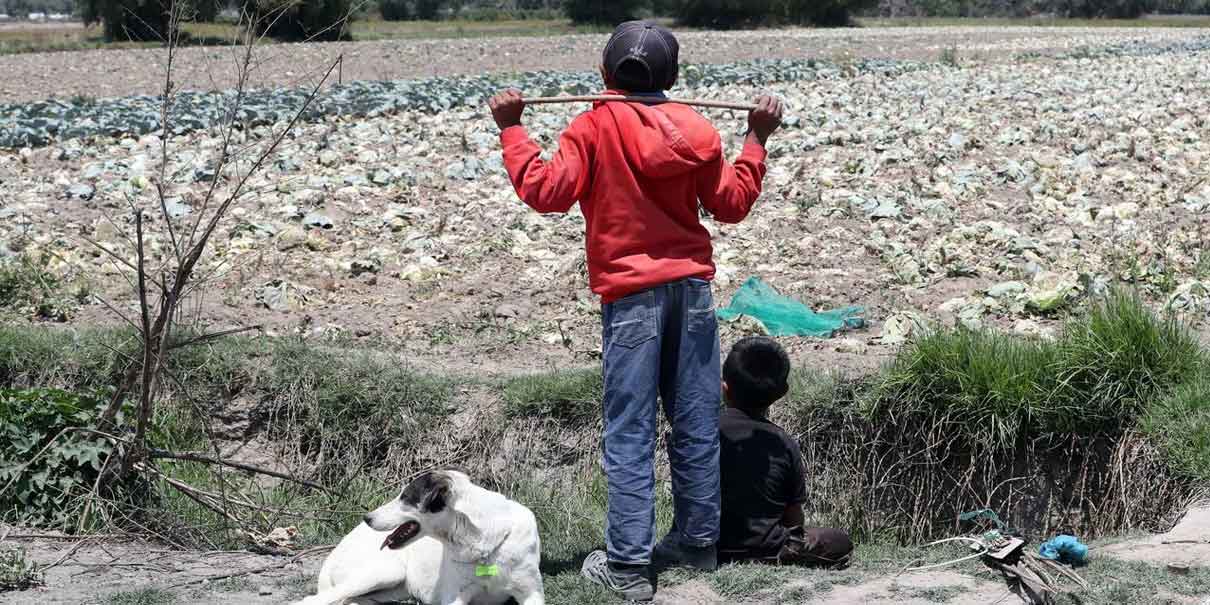 Puebla busca castigo severo a crimen organizado que use niños como vigilantes