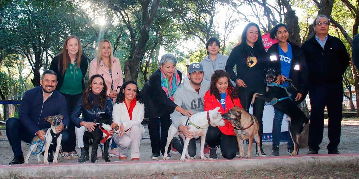 Inicia en Puebla el rescate de mascotas maltratadas para darlos en adopción